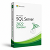 Microsoft SQL Server 2022 Standard packaging