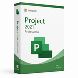 Project 2024 Professional