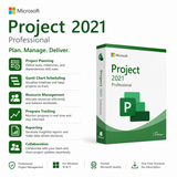 Project 2024 Professional
