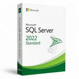 Microsoft SQL Server 2022 Standard packaging 