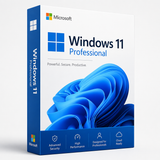 Microsoft Windows 11 Professional 